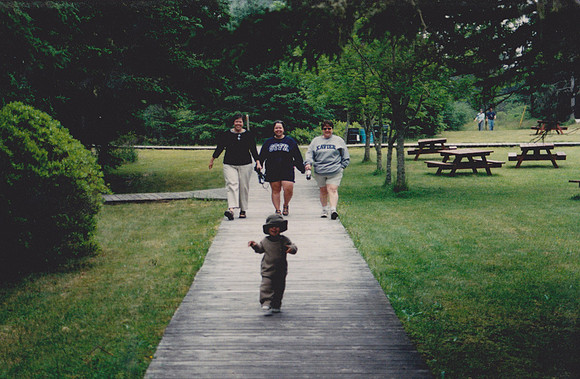 Scan 8