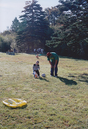 Scan 133