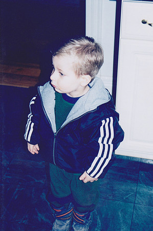 Scan 293
