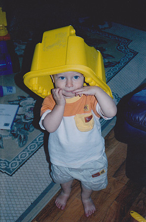 Scan 305