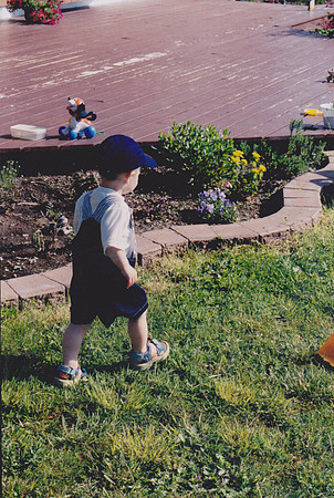 Scan 330