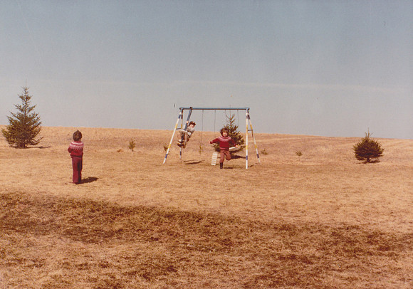 Scan 84