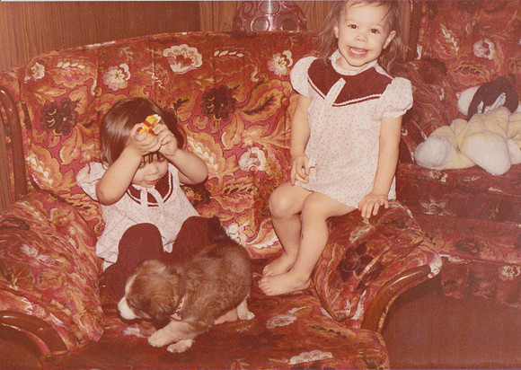 Scan 212