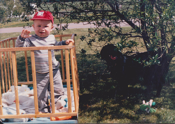 Scan 234