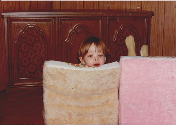 Scan 341