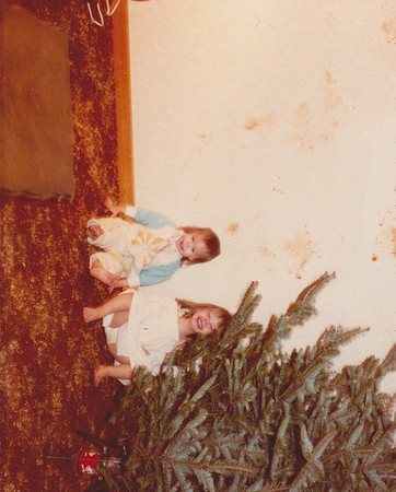 Scan 379