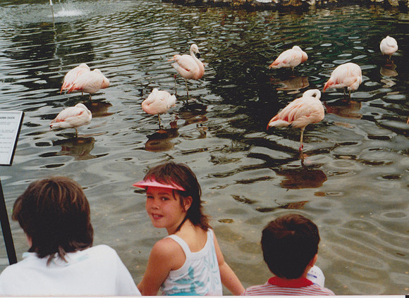 Scan 36