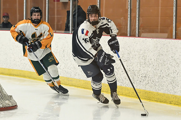 TIMBER CUP-6