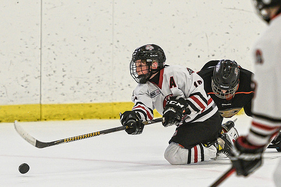 DSC_2384 copy