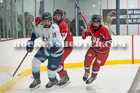 HURRICANES-87 copy