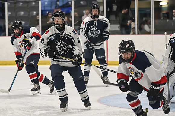 TIMBER CUP-17