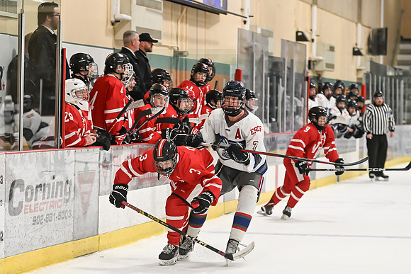TIMBER CUP-16