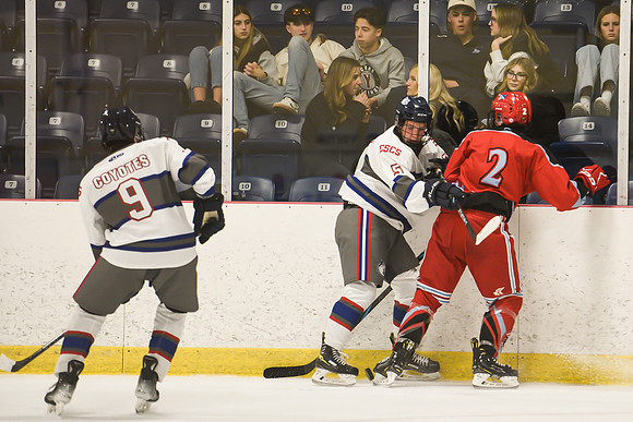 TIMBER CUP-133
