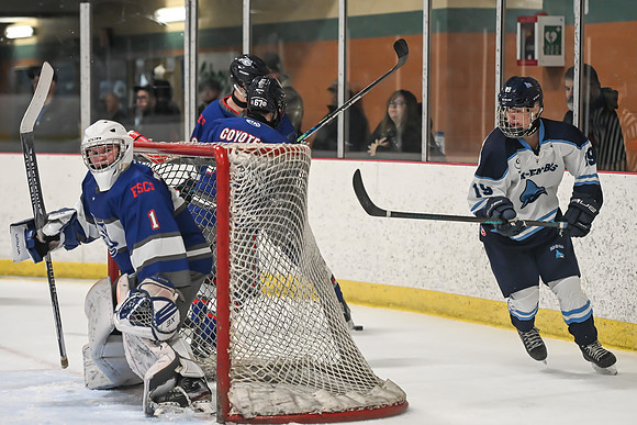 TIMBER CUP-17