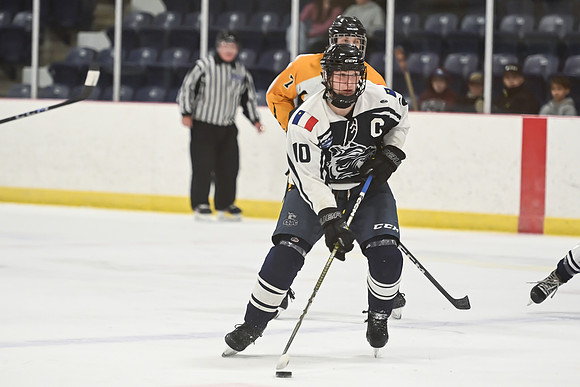 TIMBER CUP-116