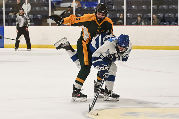 TIMBER CUP-167