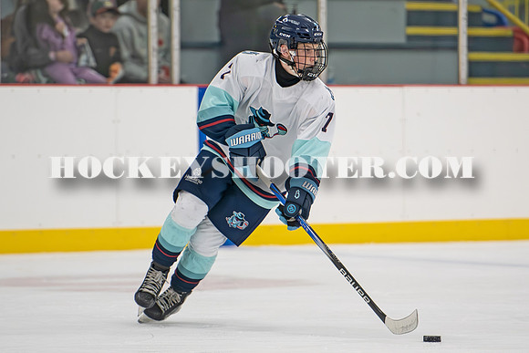 HURRICANES-93 copy