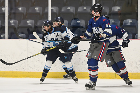 TIMBER CUP-2