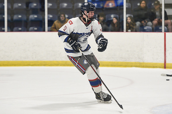 TIMBER CUP-204