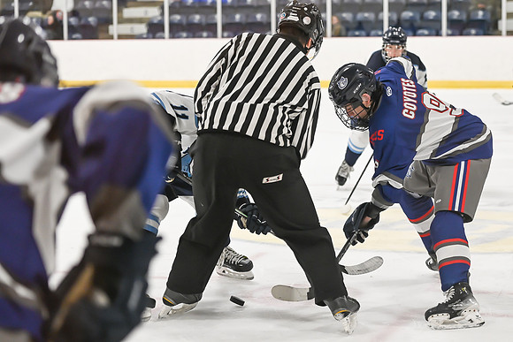 TIMBER CUP-16