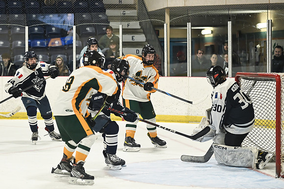 TIMBER CUP-53