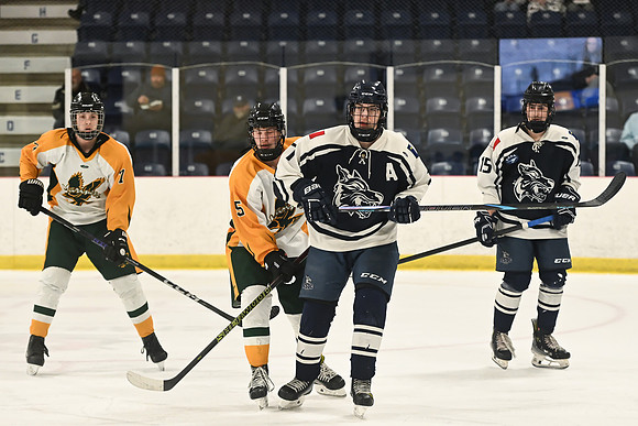 TIMBER CUP-32