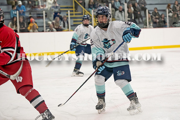 HURRICANES-76 copy