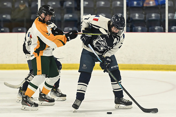 TIMBER CUP-30
