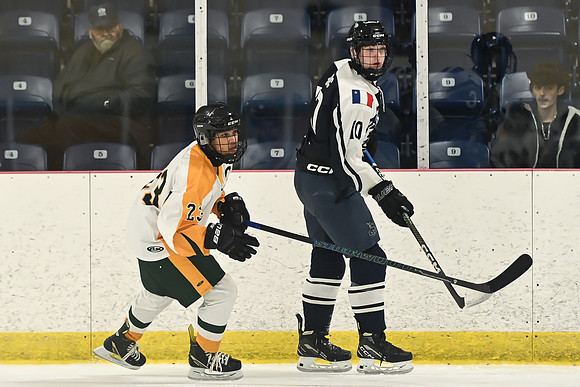 TIMBER CUP-41