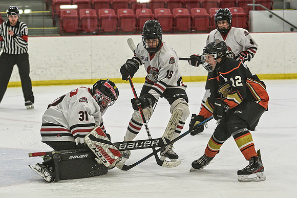 DSC_2120 copy