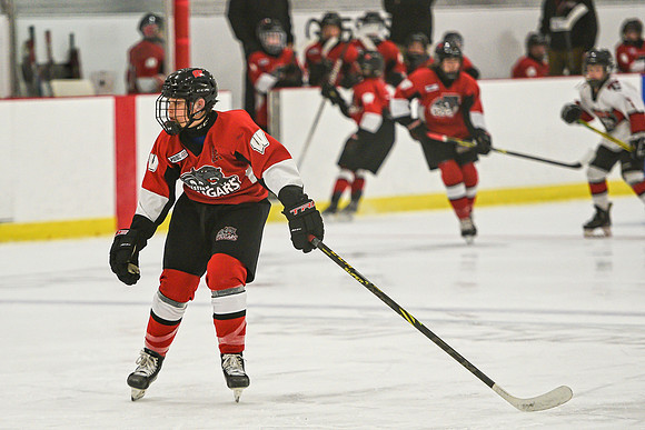 DSC_3542 copy