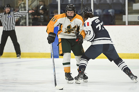 TIMBER CUP-9