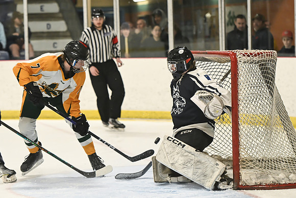 TIMBER CUP-34