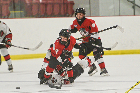 DSC_3559 copy