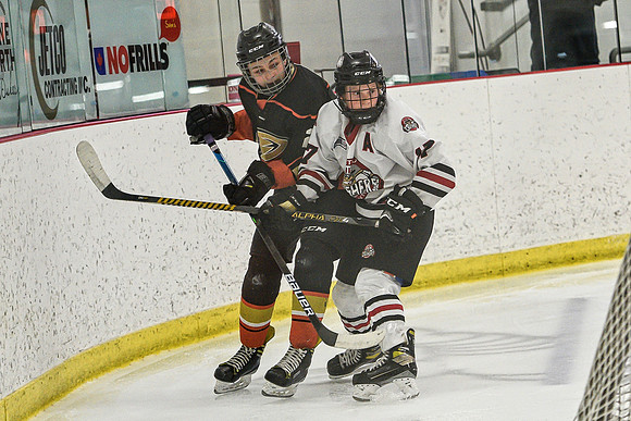 DSC_2077 copy