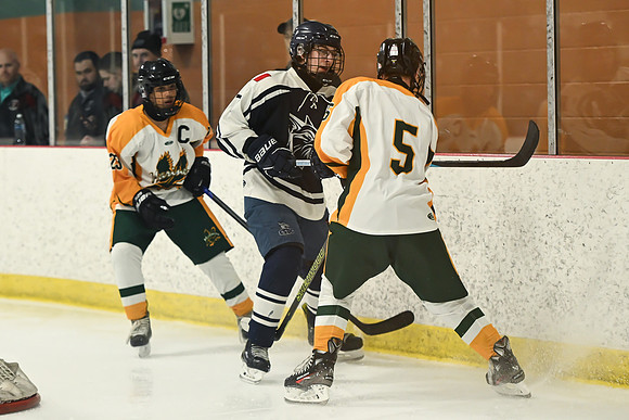 TIMBER CUP-50