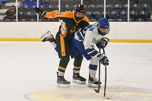 TIMBER CUP-168