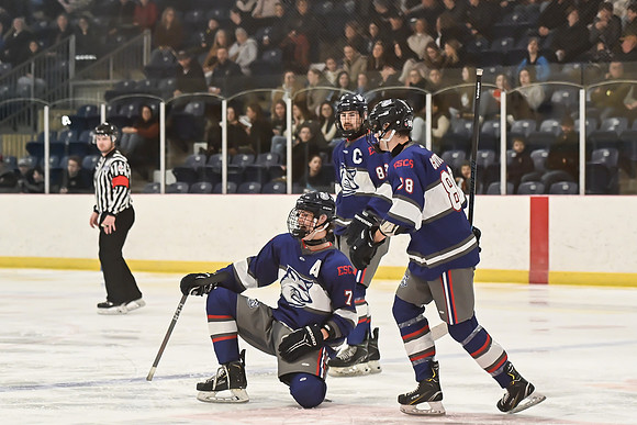 TIMBER CUP-99