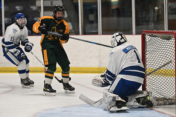 TIMBER CUP-44