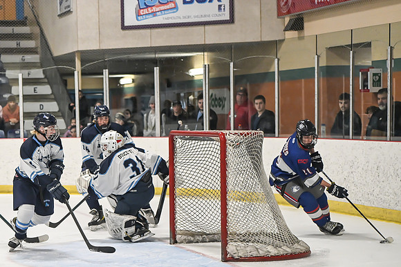 TIMBER CUP-133