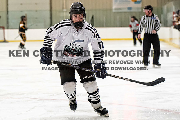 MARITIMES-38 copy