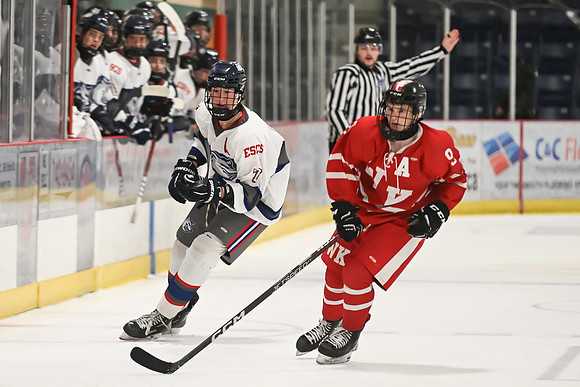 TIMBER CUP-10
