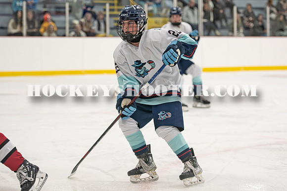 HURRICANES-77 copy
