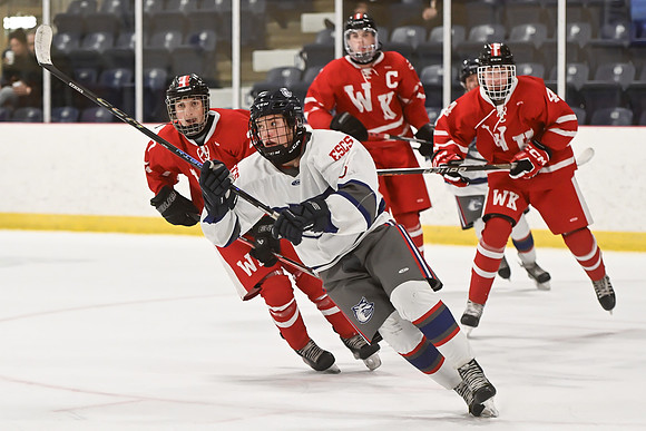 TIMBER CUP-74