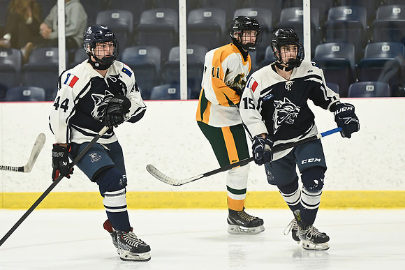 TIMBER CUP-26