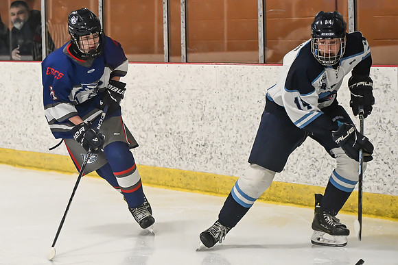 TIMBER CUP-102