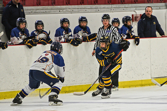 DSC_0930 copy