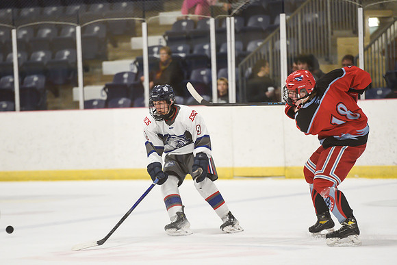 TIMBER CUP-206
