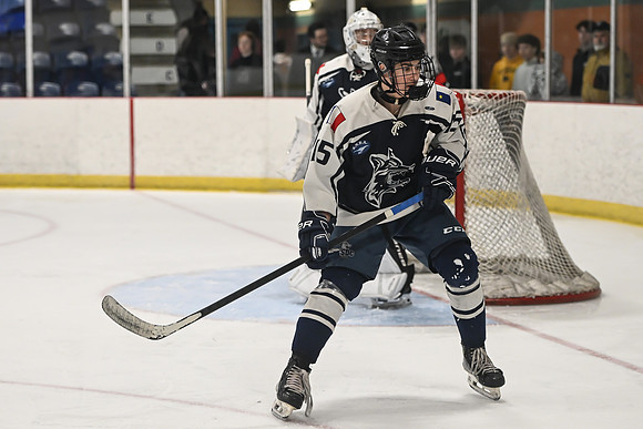 TIMBER CUP-42