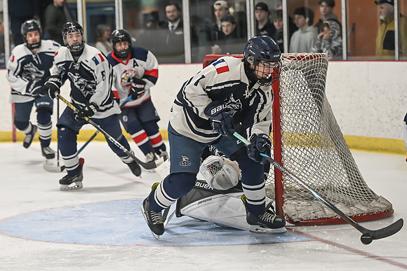 TIMBER CUP-15